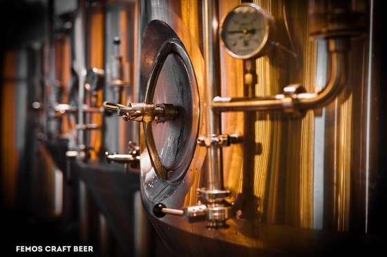 SS304-/SS316l-Microbrewery-Brauenausrüstungs-kleine Bierbrauen-Systeme