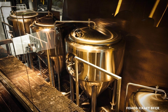 SS304-/SS316l-Microbrewery-Brauenausrüstungs-kleine Bierbrauen-Systeme