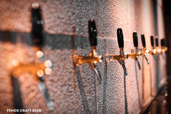 Fertigen Sie Hauptbierbrauen-Ausrüstungs-Brauerei-Anlage für die Walt-Bier-Herstellung kundenspezifisch an