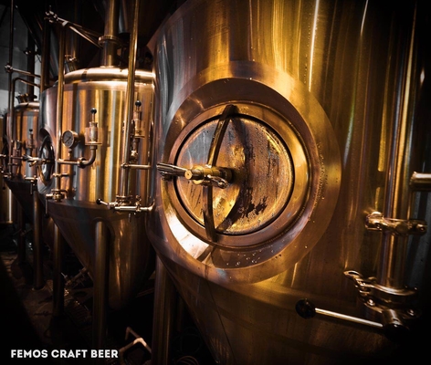Fertigen Sie Hauptbierbrauen-Ausrüstungs-Brauerei-Anlage für die Walt-Bier-Herstellung kundenspezifisch an
