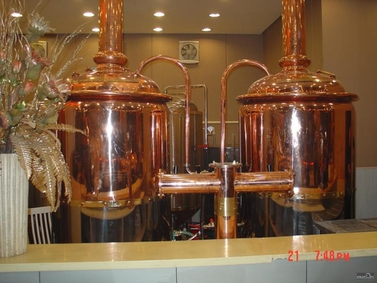 Minimikroausrüstungs-schlüsselfertige Brauensystem CER Bescheinigung der brauerei-500L