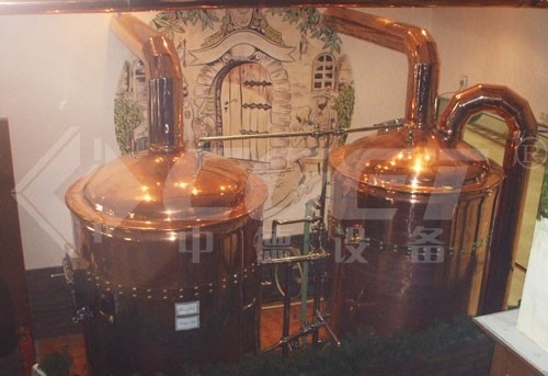 Minimikroausrüstungs-schlüsselfertige Brauensystem CER Bescheinigung der brauerei-500L