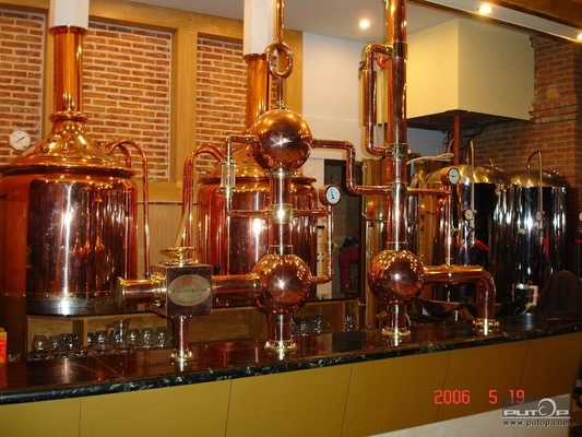 Minimikroausrüstungs-schlüsselfertige Brauensystem CER Bescheinigung der brauerei-500L