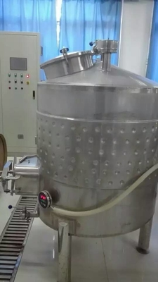 Fließband der Bierherstellungs-100L Wein-Testgerät SUS 304 1-jährige Garantie