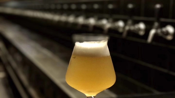 Kneipen-Handwerks-Bierbrauen-Ausrüstungs-Dampf-Heizungs-einphasiges oder Phase 3