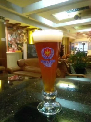 Handwerks-Bierbrauen-Ausrüstung des Schiff-500L 2 schlüsselfertige Microbrewery-Systeme