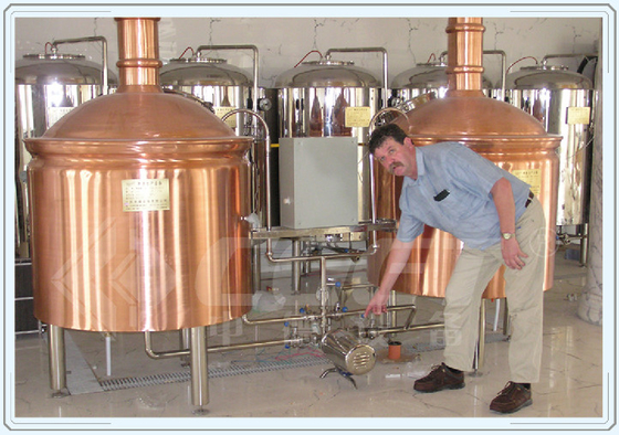 Industrielle Fermenter-kleine Bier-Brauerei-Ausrüstungs-rotes kupfernes Material