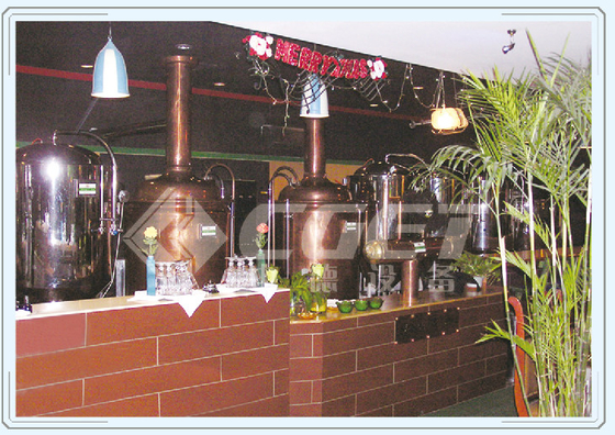Industrielle Fermenter-kleine Bier-Brauerei-Ausrüstungs-rotes kupfernes Material