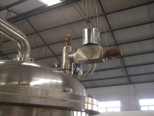 Art Diatomit-Filter-Maschine der Kerzen-SUS304