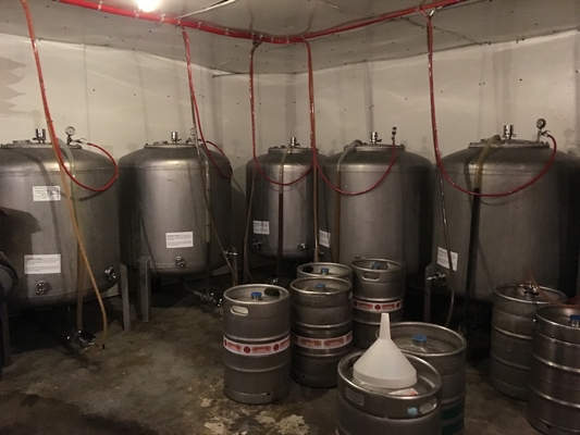 microbrewery-Ausrüstung 500L 1000L SS304 schlüsselfertige Brewpub-System-Vertikalen-Art