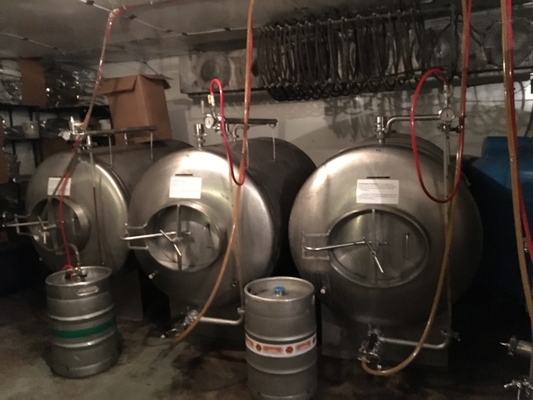 microbrewery-Ausrüstung 500L 1000L SS304 schlüsselfertige Brewpub-System-Vertikalen-Art