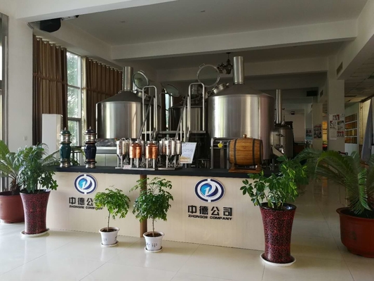 Bierbrauen-Ausrüstung 20bbl des Handwerks-SUS304 mit Karbonisations-Stein PLC-Steuerung